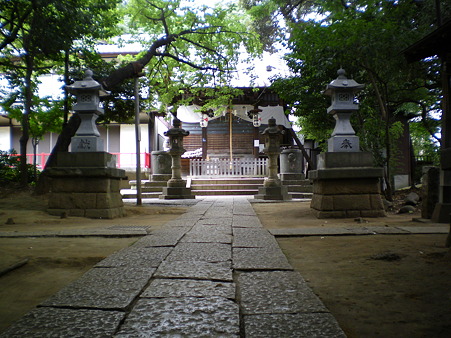 IMGP1899