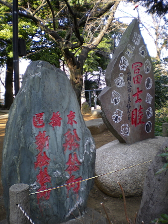IMGP3981