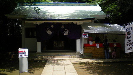 IMGP5409