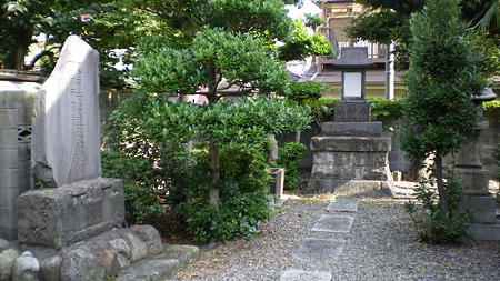 IMGP5477
