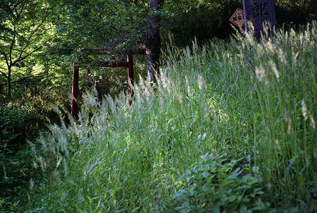 Image0001(Mamiya Press Super 23)