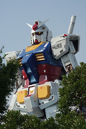 IMGP2502