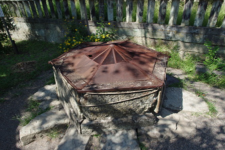 IMGP4951
