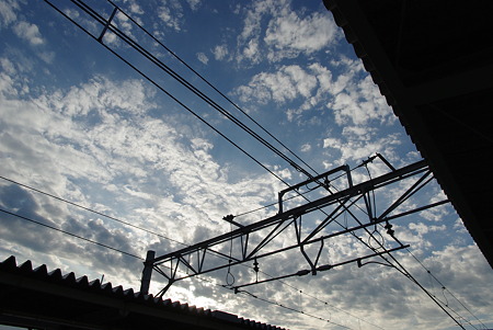 IMGP5174