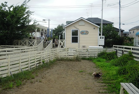DSCN3635