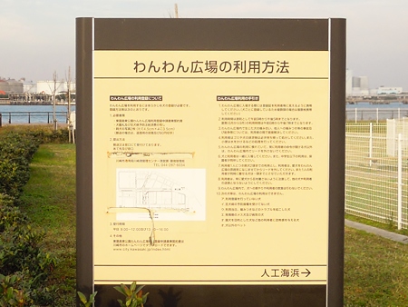 DSCN5352