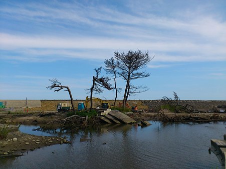 七ヶ浜