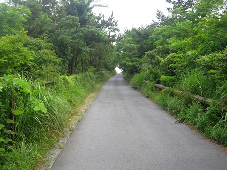海に向かう道