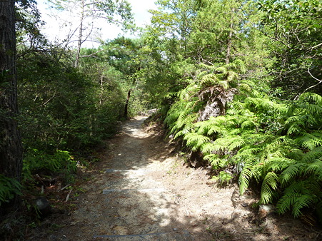 岡山2010 186