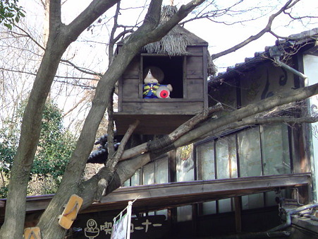 DSC00222