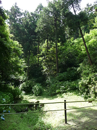 100615-明月院裏庭園-60