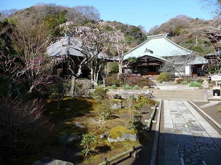 110225-海蔵寺 (4)