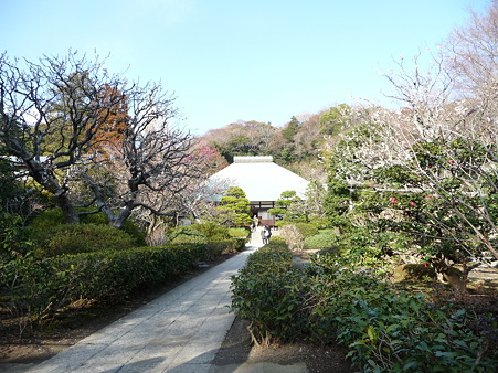 110225-浄明寺 (5)