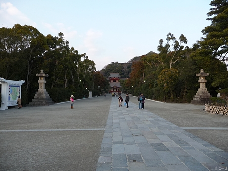 110308-鶴岡八幡宮 (1)