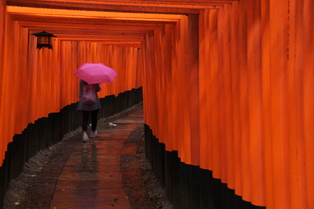 伏見稲荷　雨の千本鳥居