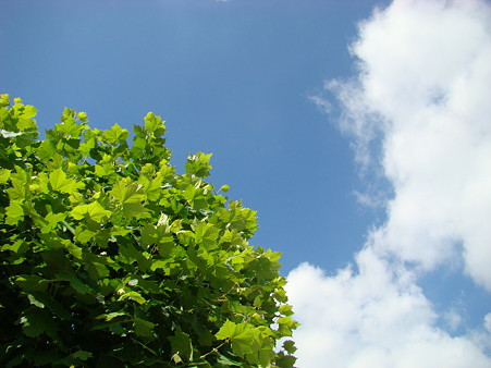 2010-7-19の空
