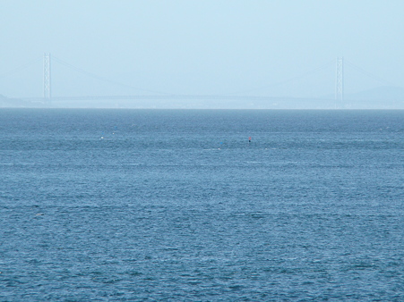 2010-8-4 加太の海