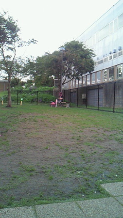 201008110550000