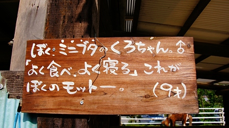 広島県福富町ドライブ (20)