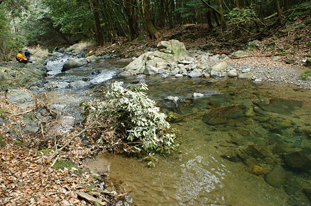 DSC00211