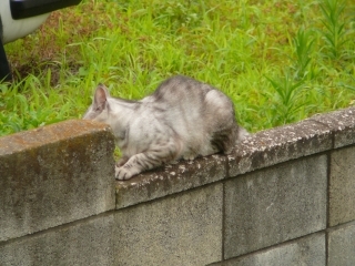 下が気になる