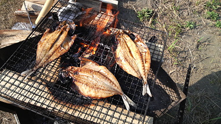 ヤマカ水産でお土産で貰ったアジの開き