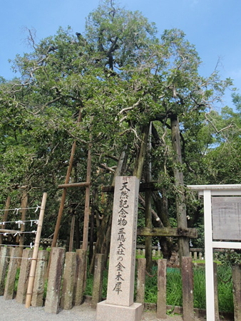 P7190019