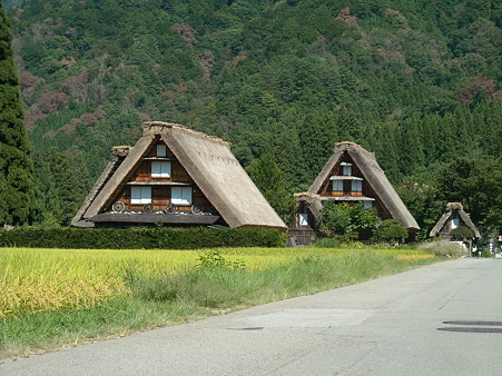 DSCN1318