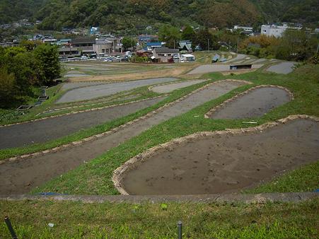 棚田