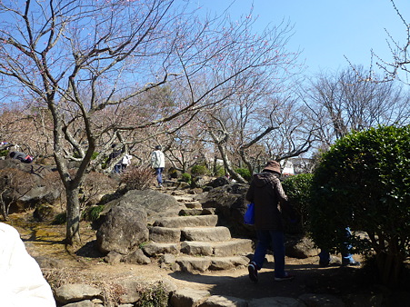 つくば梅林公園