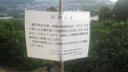 P1000810