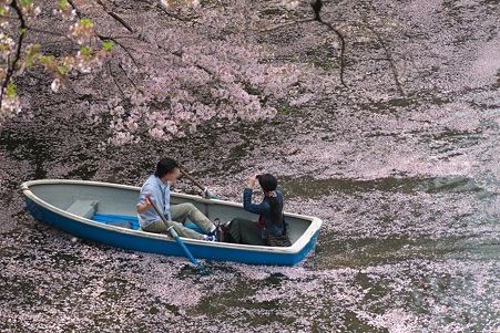 2011.04.11　皇居　北の丸公園　千鳥ヶ淵-5
