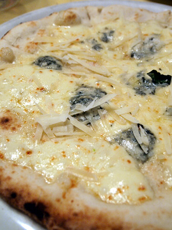 p9195981_edited p9195981_edited