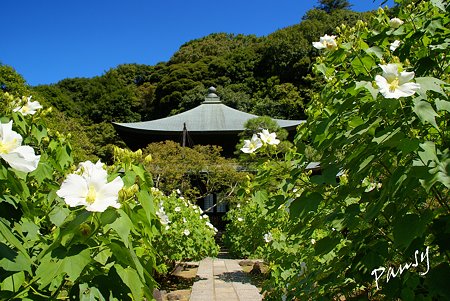 瑞泉寺・・6