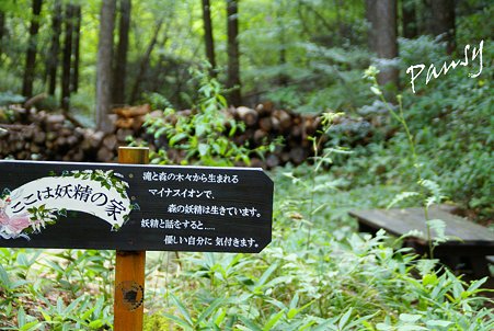 森のなかの妖精の家・・1