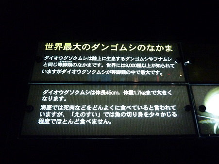 P1100121