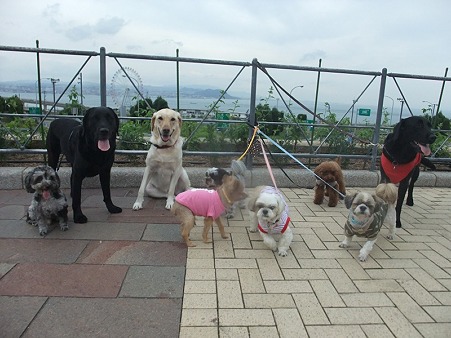 集合写真