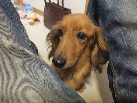 あたしの所に避難したり・・・