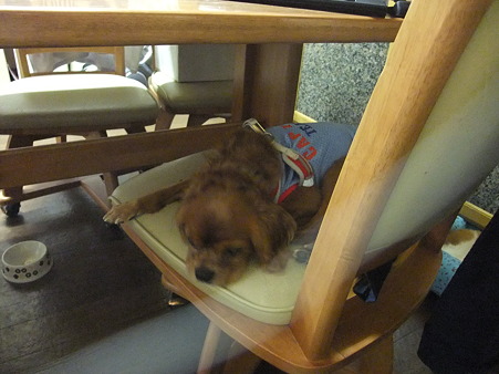 ねんね・・・