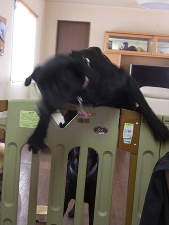 上半身を越えた瞬間