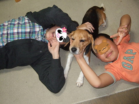 子供達にも可愛がってもらってるし!