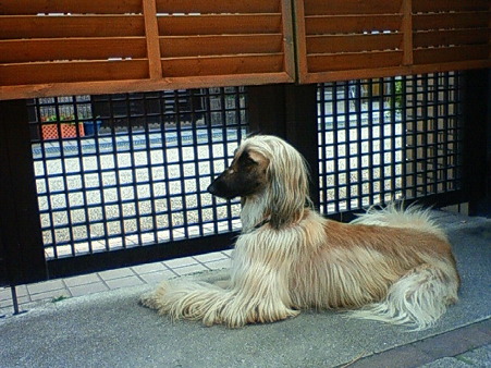 201104031512000