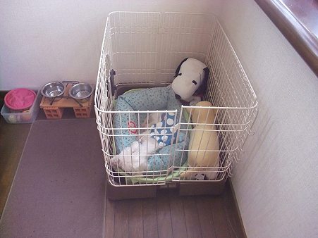 賢くねんねする人和