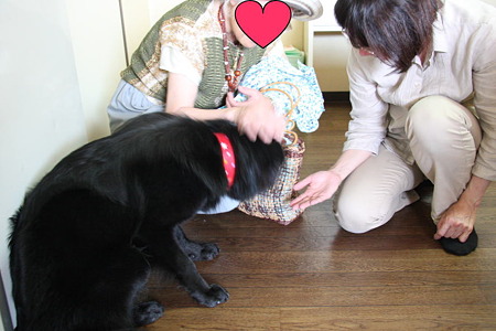 こんにちわ
