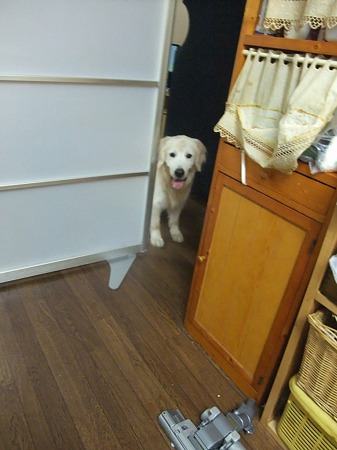 STOP THE KITCHEN!