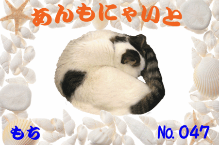 もちくん640×426