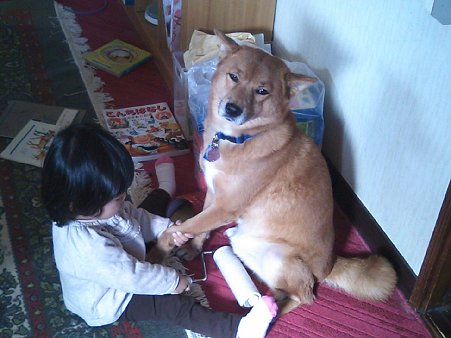 「てっちゃ~ん、き~れき~れき~れ…」コテツの表情が…(苦笑)