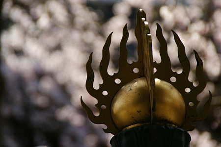 燈篭と枝垂桜(110402)