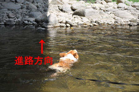 DSC_0429修正