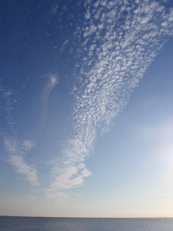 天空を渡す一筋の雲
